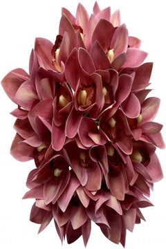 Yatai Cymbidium Orchid Artificial Flower Pink  - Image 2