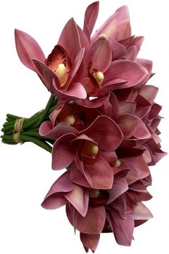 Cymbidium Orchid Artificial Flower Pink - v1556259988/N24593469A_6