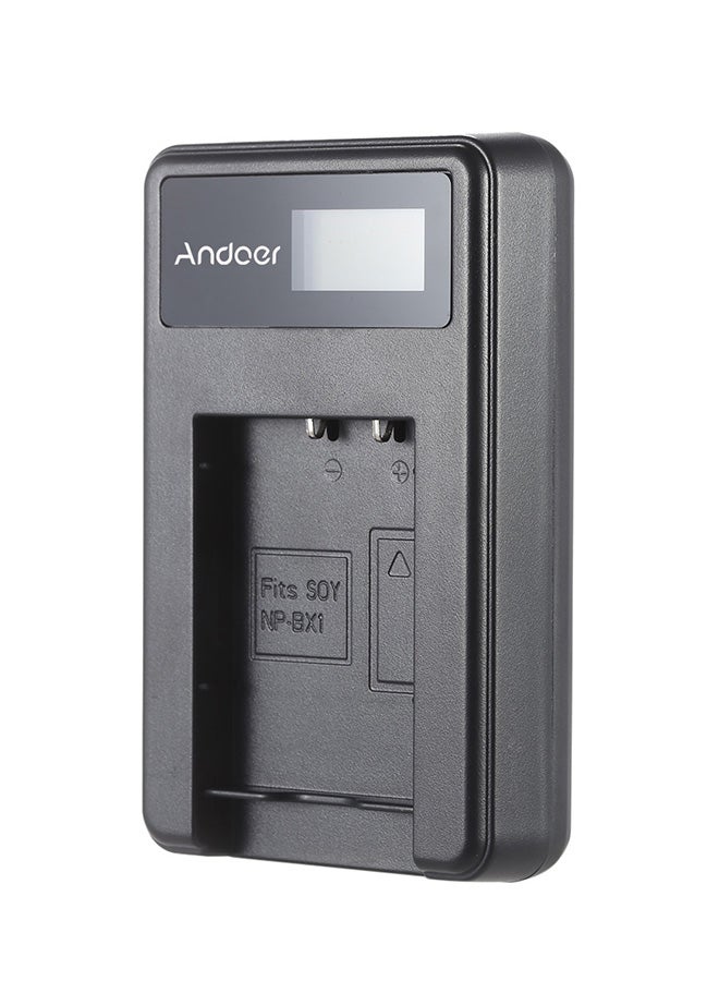 ANDOER Portable LED Power Charger With 2- Piece Lithium Batteries 1450 mAh Black