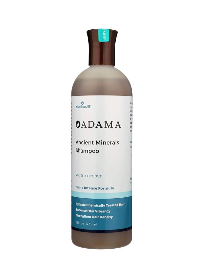 Zion Health Adama Minerals Shampoo White 