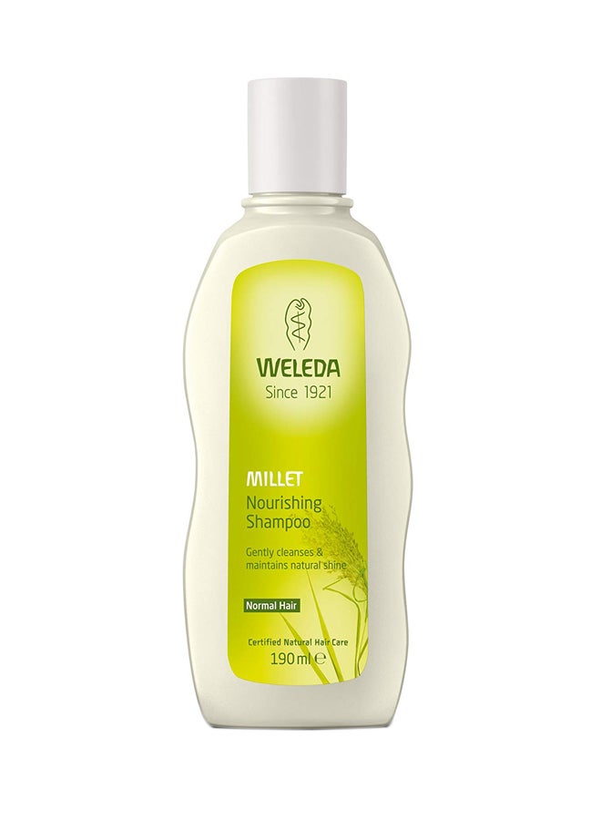 ويليدا شامبو مغذي بالذرة البيضاء