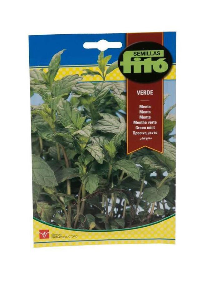 فيتو بذور النعناع الأخضر متعدد الألوان