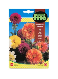 Fito Dahlia Decorative Mix Flower Seeds Multicolour 