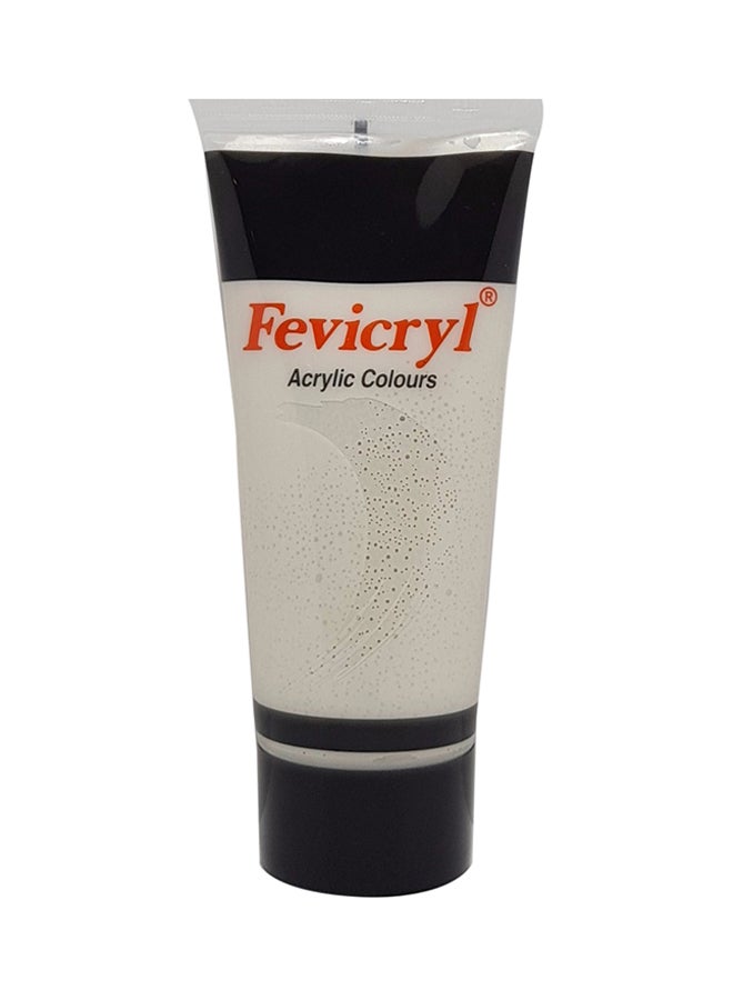 Fevicryl Acrylic Paint Colour Tube 200ml Silver