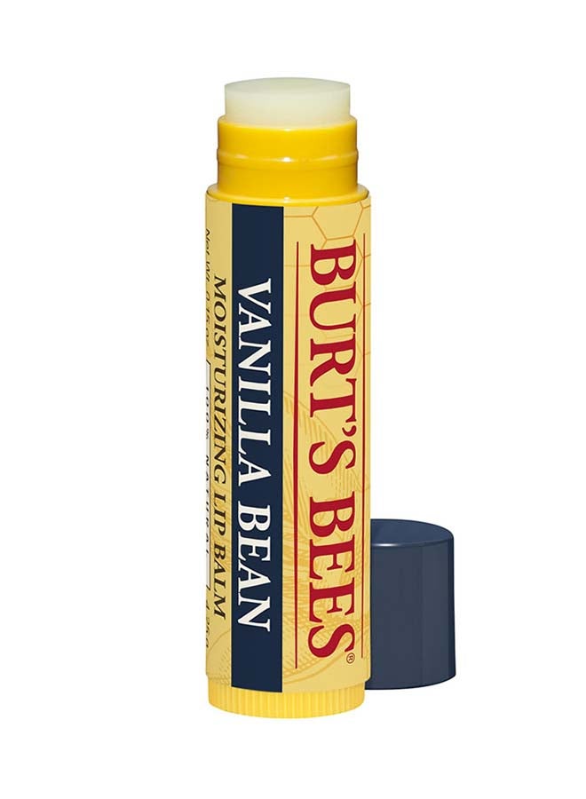 Burt's Bees Vanilla Bean Moisturizing Lip Balm White - Image 1