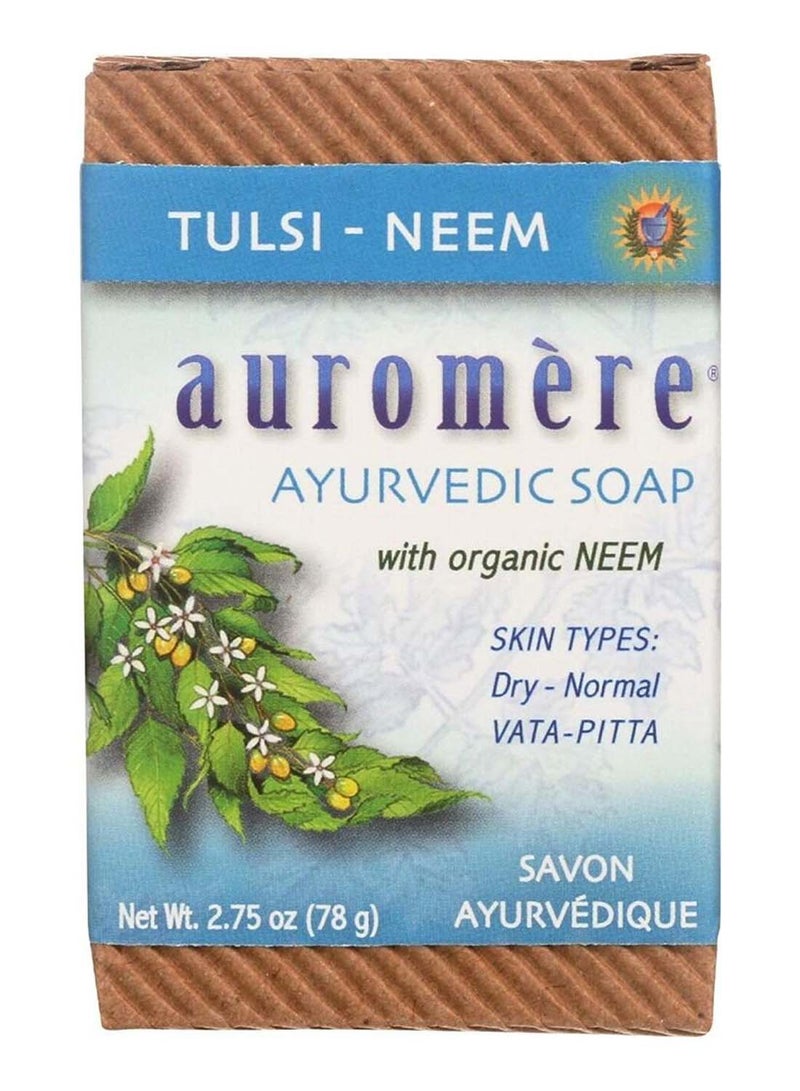 Tulsi Neem Ayurvedic Bar Soap Brown - v1556484414/N24218761A_1