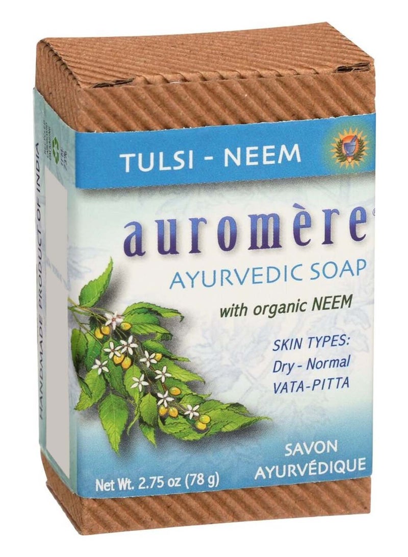 Tulsi Neem Ayurvedic Bar Soap Brown - v1556484414/N24218761A_2