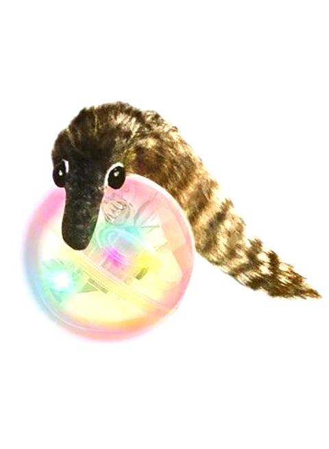LED Lighting Beavers Weasel Ball Converting To Tail In A Bag Toy