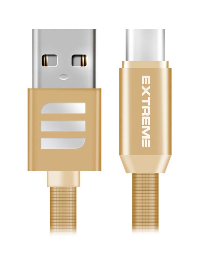 G-TiDE EXTREME Creative Series Type-C Data Sync Charging Cable Gold - Image 1