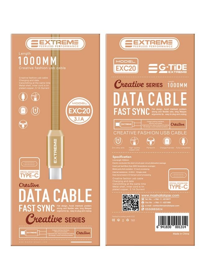 G-TiDE EXTREME Creative Series Type-C Data Sync Charging Cable Gold - Image 2
