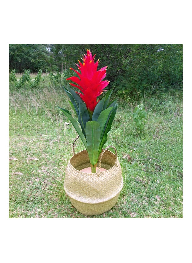 Generic Foldable Flower Vase Hanging Basket Beige 32x28centimeter  - Image 2