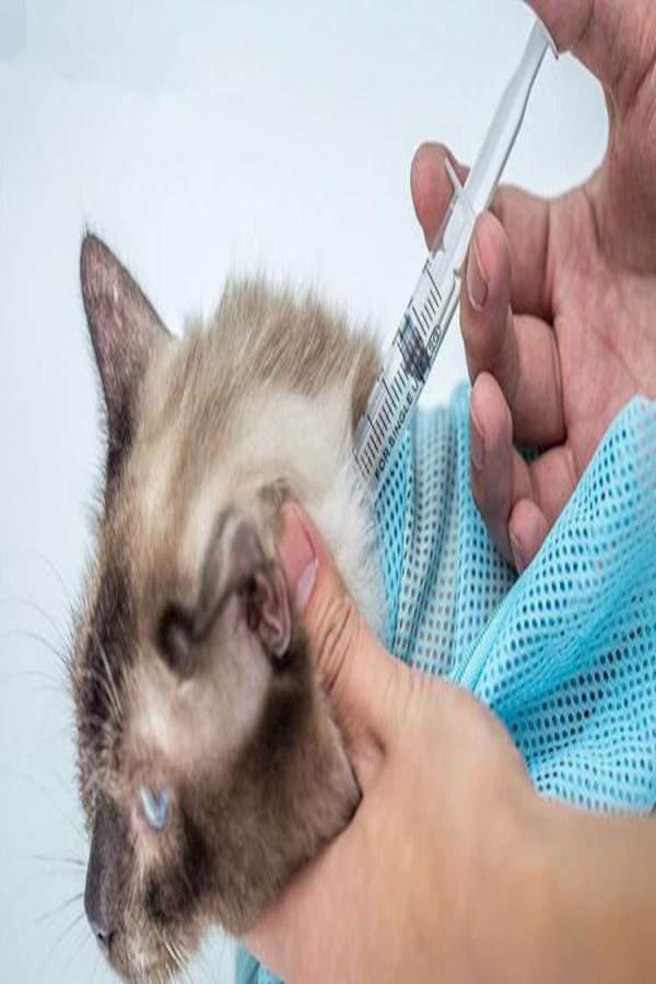 Mesh Bath Cat Grooming Bag Blue 7grams - Image 3