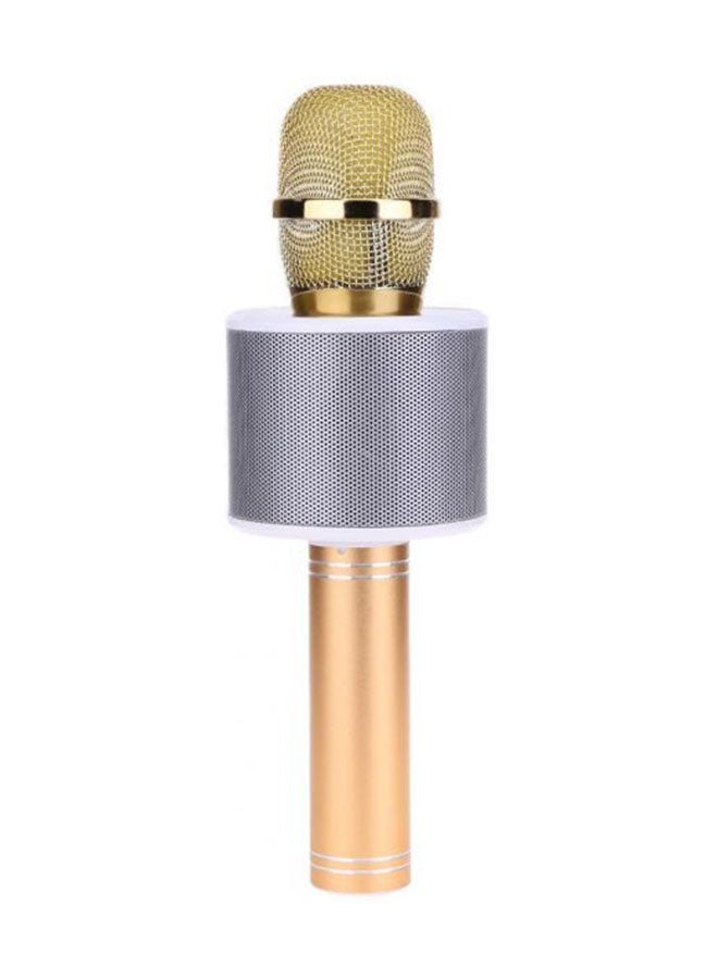 Wireless Bluetooth Mini Karaoke Microphone WS-858-1 Gold/Gray
