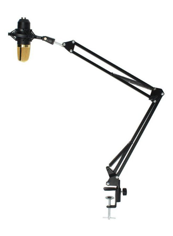 Dynamic Microphone Mic With Stand BM700 Black