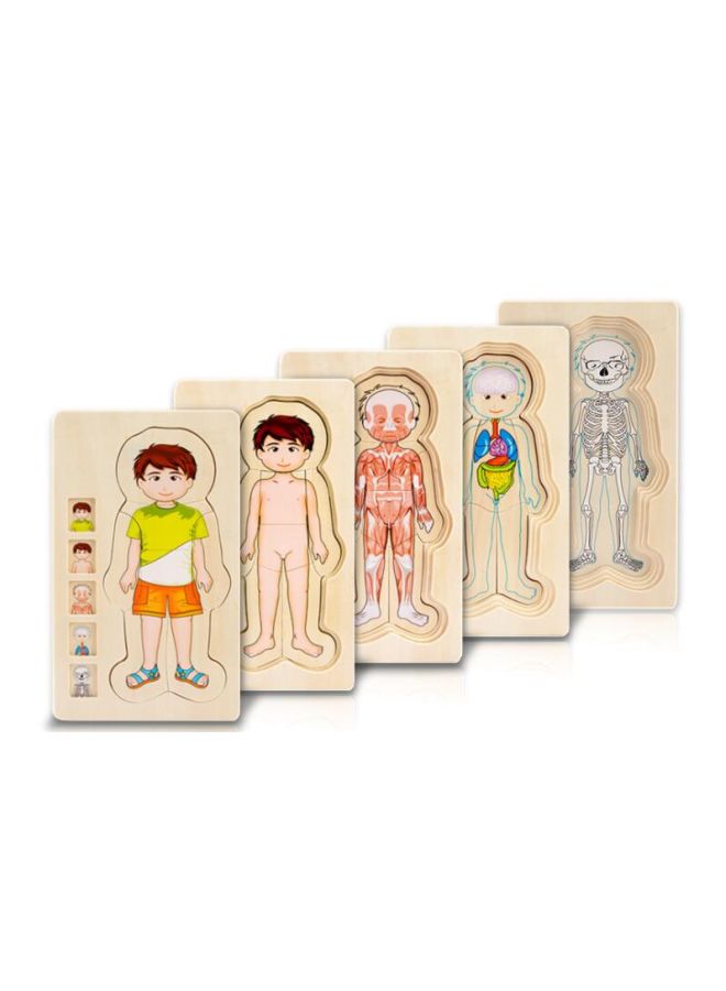 GObuy Multi-layer Body Structure Jigsaw Puzzle - Image 2