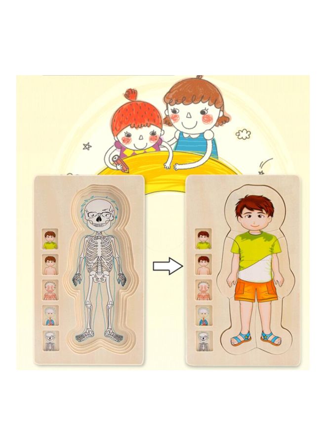 GObuy Multi-layer Body Structure Jigsaw Puzzle - Image 4