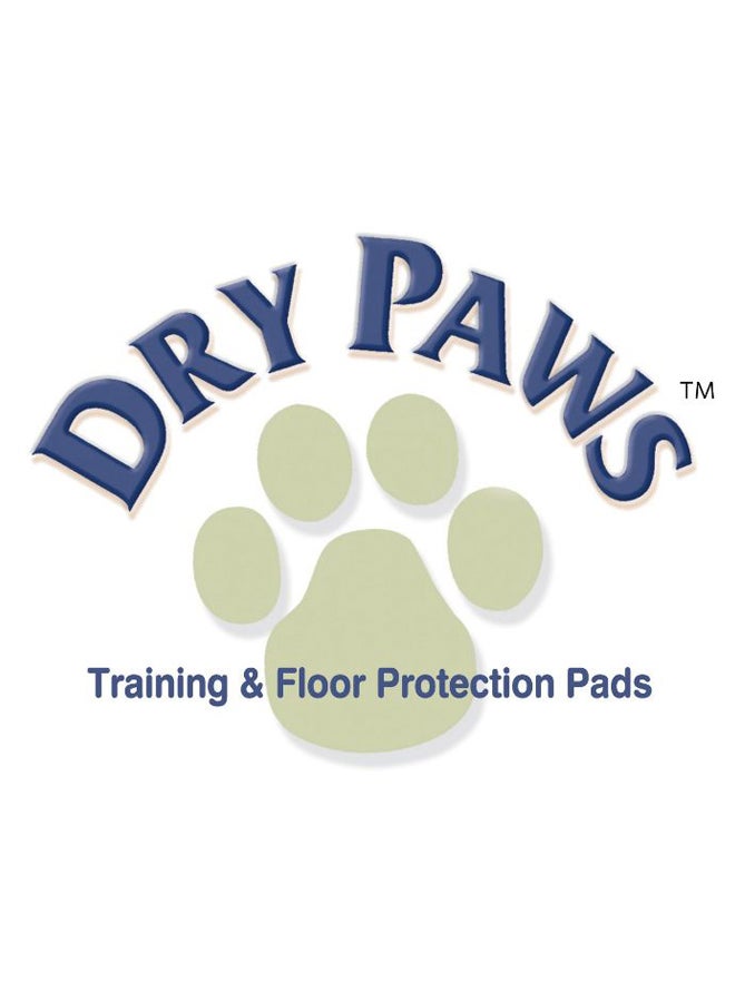 Midwest - Dry Paws Training and Floor Protection Pad 100 Pieces Multicolour 58x61cm - Image 1