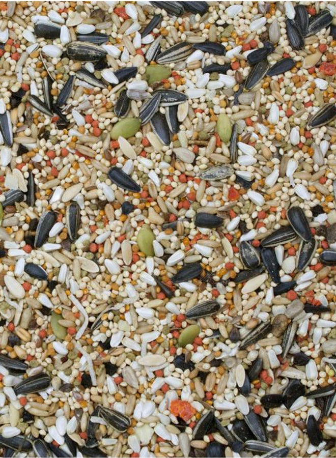 HigginS - Sunburst Gourmet Blend Cockatiel Food Multicolour 1.36kg - Image 1