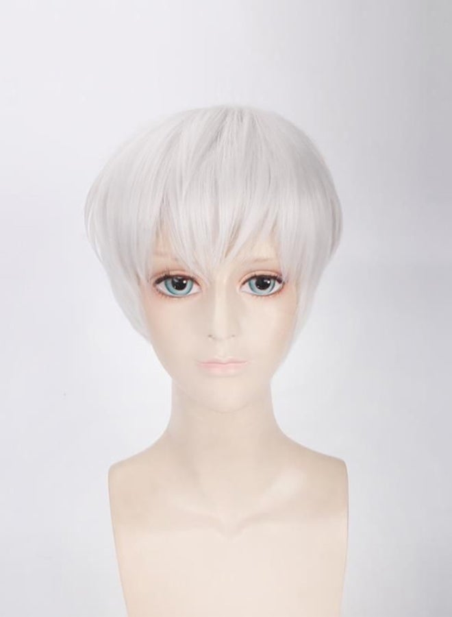 NewLifeStyle 30cm High Degree Of Reduction Wig Anime Kaneki Ken Cosplay Short Wig White 
