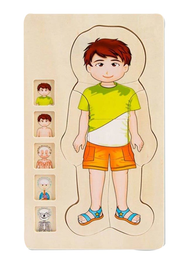 GObuy Multi-layer Body Structure Jigsaw Puzzle - Image 1