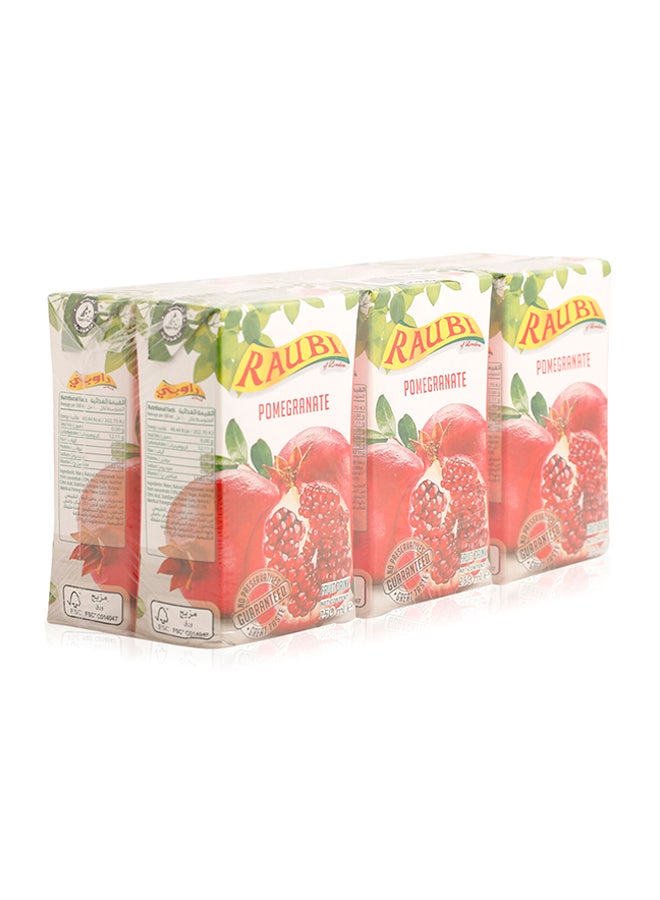 Raubi - Pomegranate Fruit Drink 250ml pack_of_6 - Image 1