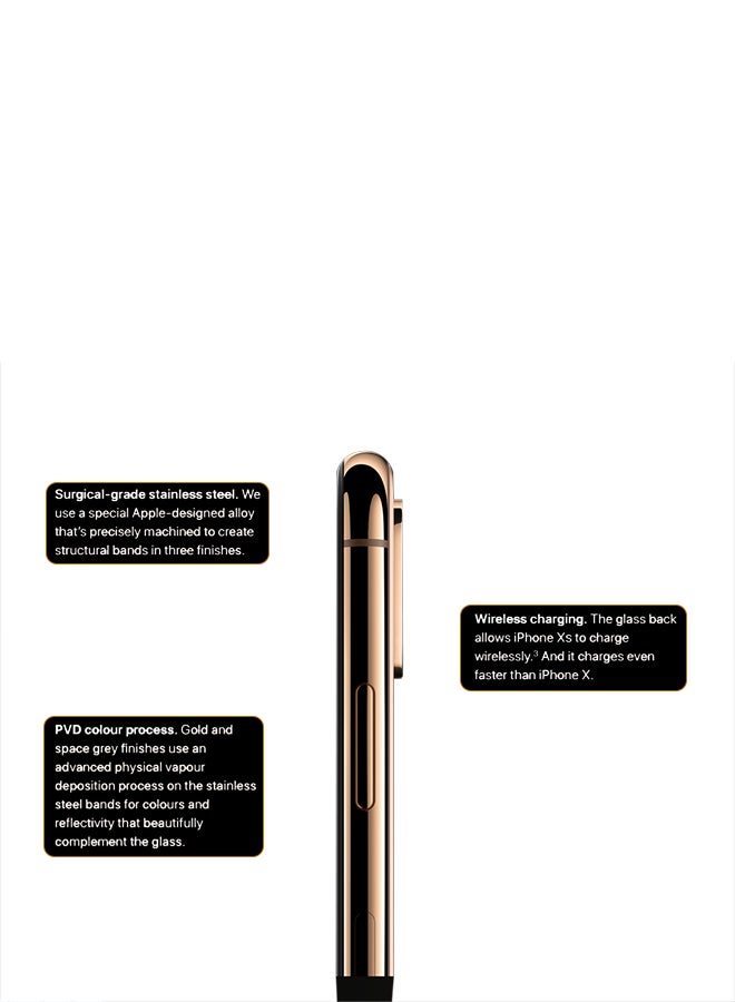 Apple - iPhone Xs Max With FaceTime Gold 64GB 4G LTE - Image 1