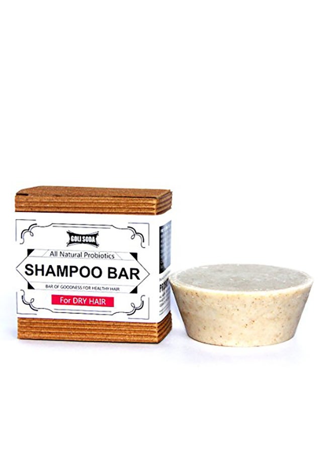 Biodegradable Non Toxic Shampoo Bar - v1557407230/N25384256A_1