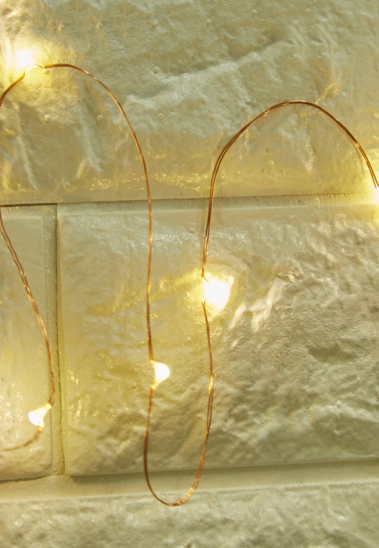 بينك كاكتوس - شريط مصابيح بإضاءة LED أبيض - Image 1