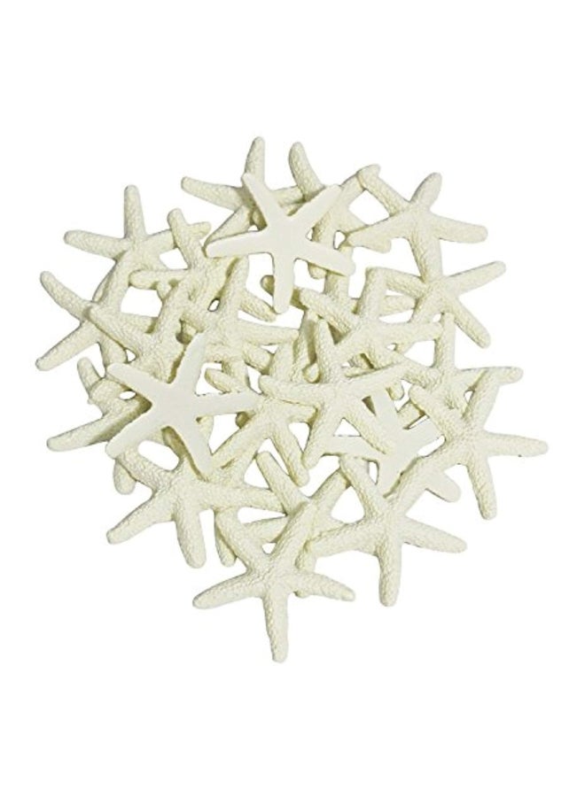 LJY 25-Piece Finger Starfish Beige - Image 1