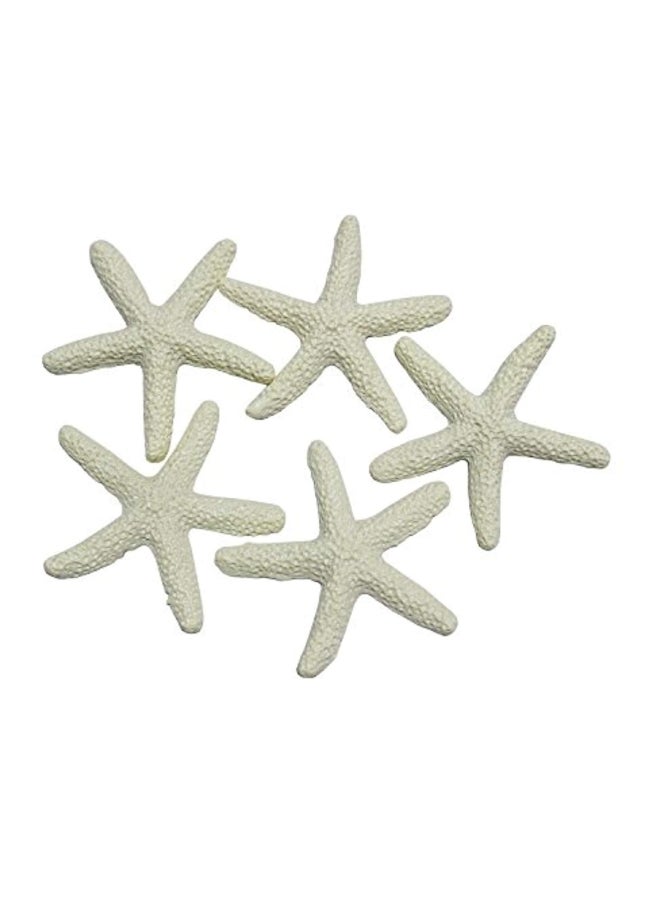 LJY 25-Piece Finger Starfish Beige - Image 2