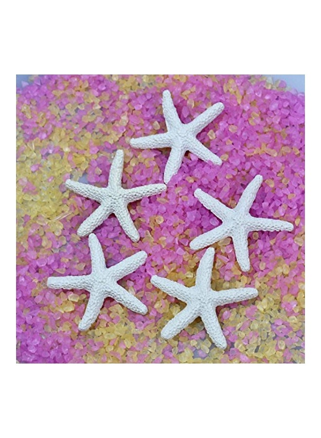 LJY 25-Piece Finger Starfish Beige - Image 4