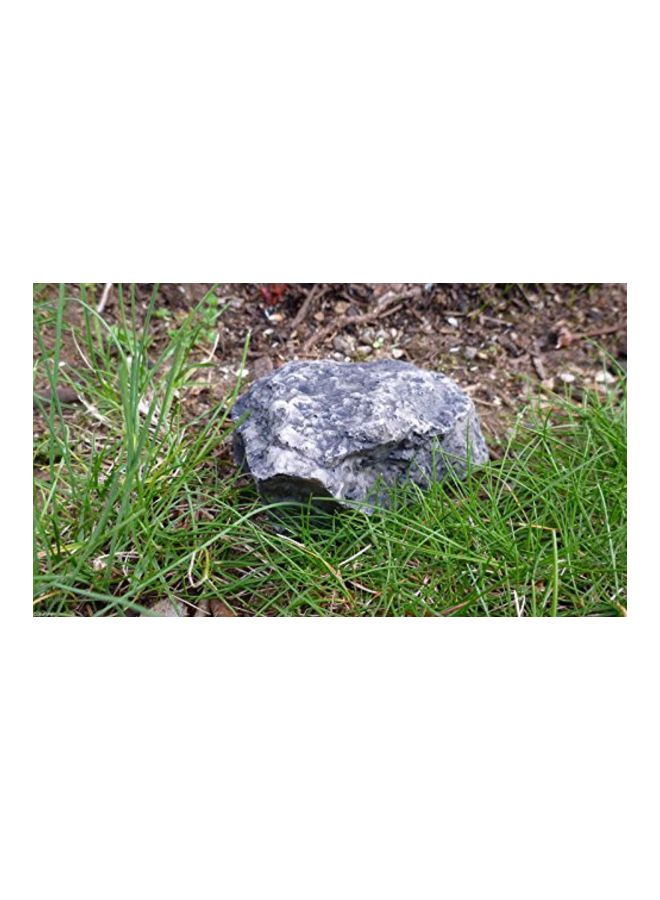 Ram-Pro Hide Spare Key Fake Rock Black  - Image 5