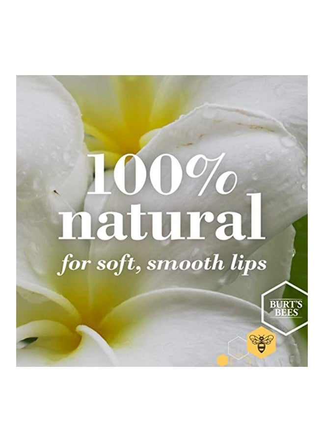 Burt's Bees - 4-Piece Moisturizing Lip Balm - Image 1