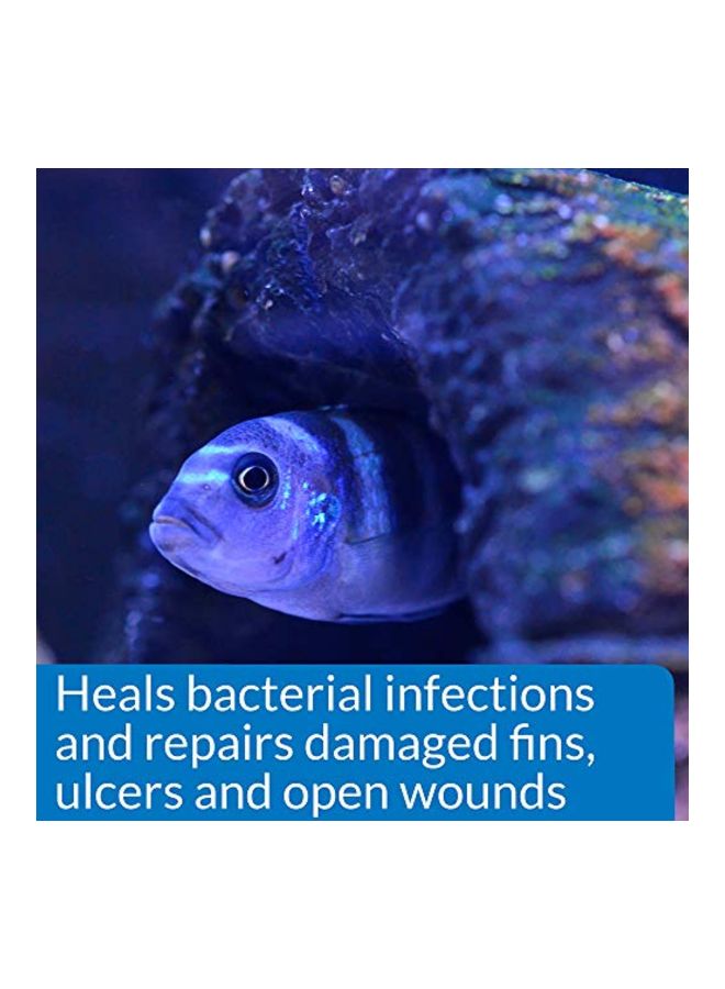 API Pond Fish Bacterial Infection Remedy  - Image 5