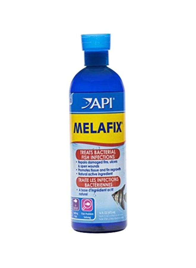 API Pond Fish Bacterial Infection Remedy  - Image 1