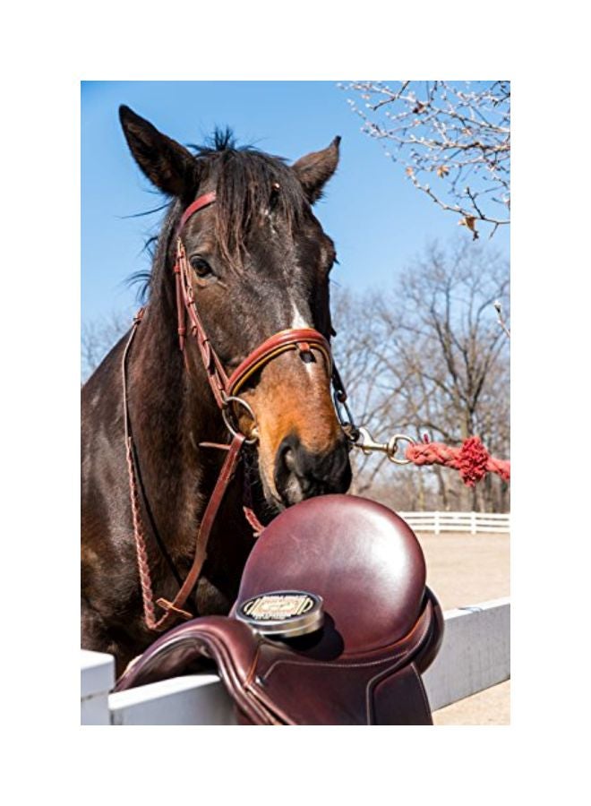 Bickmore Saddle Soap Plus - Image 5