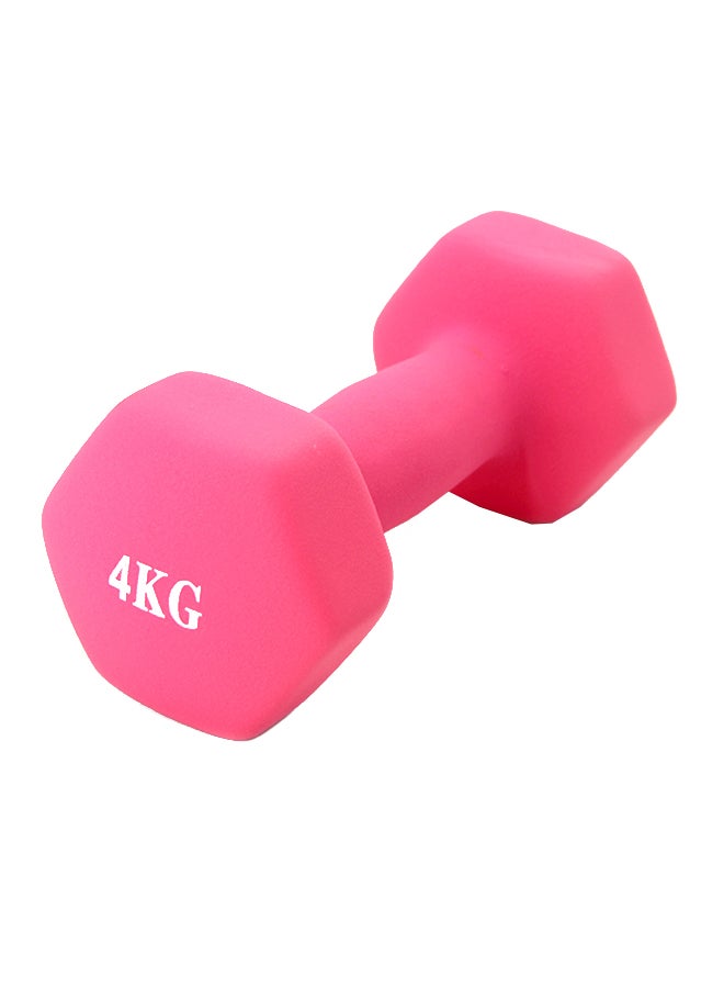 Generic Dumbbell 4kg 