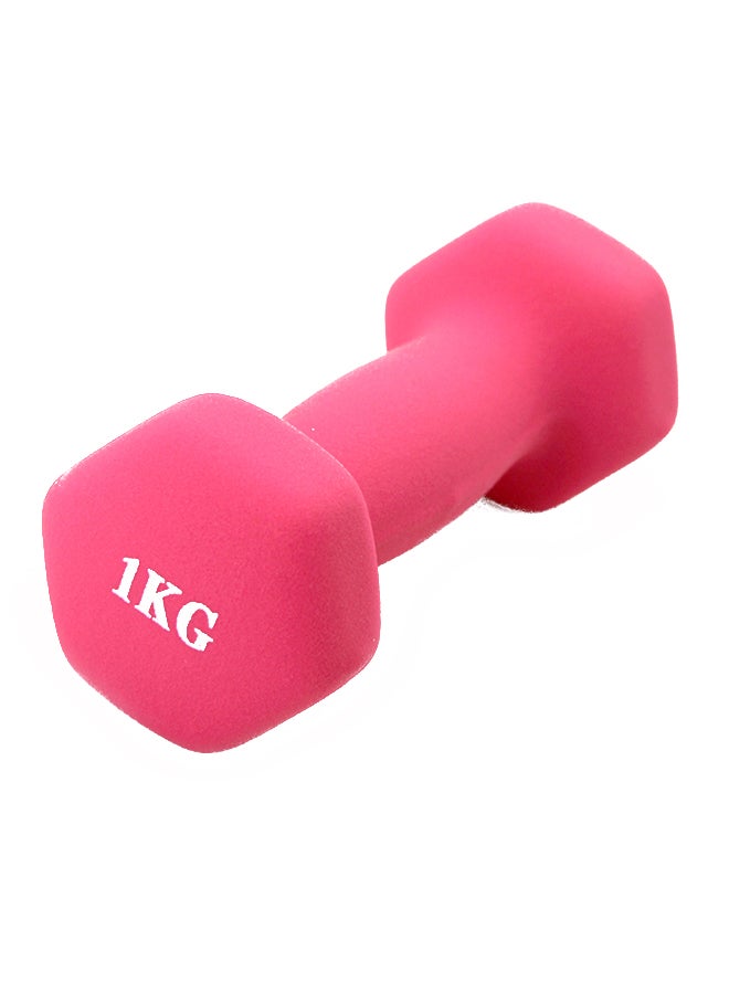 Dumbbell 1kg - Image 1