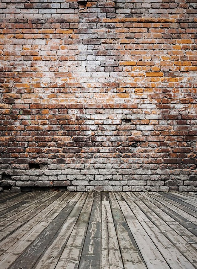 Classic Photography Background Multicolour