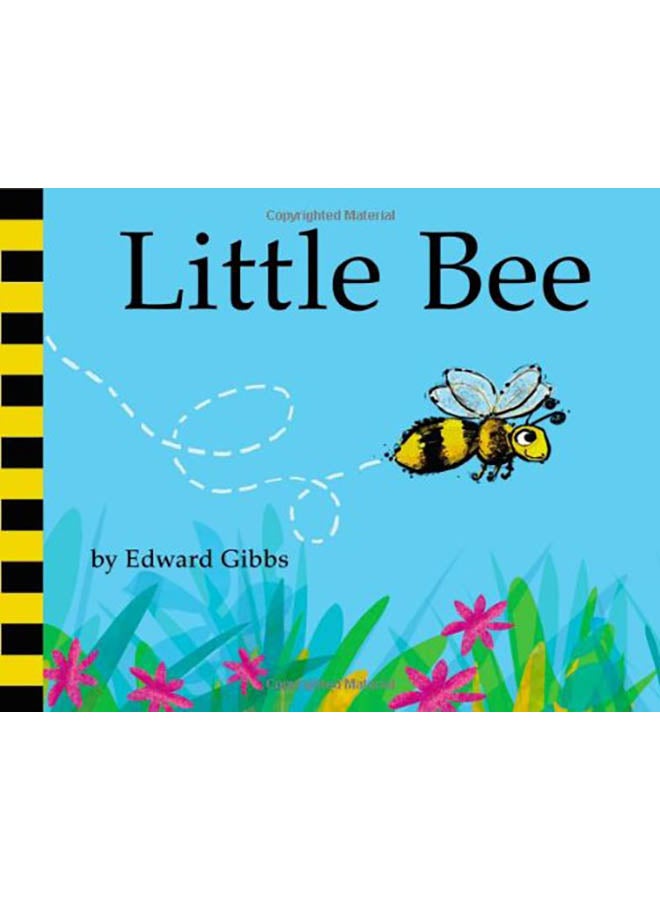 Little Bee hardcover english - 2012 