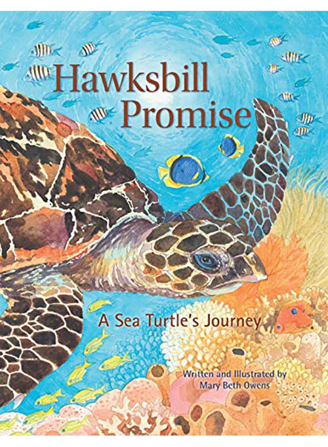 Hawksbill Promise: The Journey of an Endangered Sea Turtle hardcover english - 2019