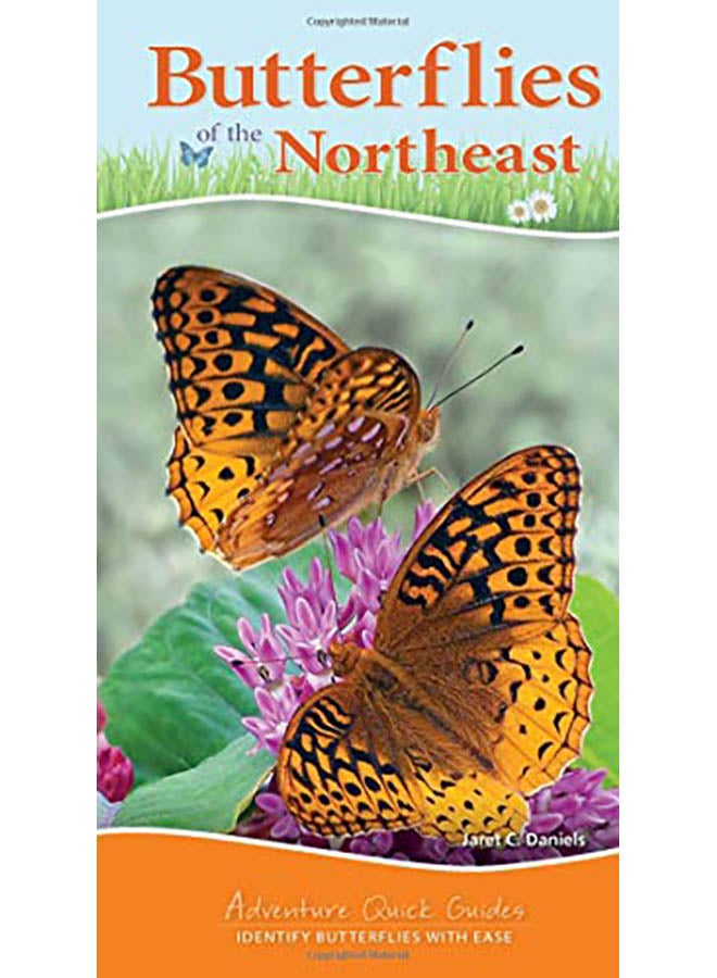 Butterflies of the Northeast paperback english - 2019