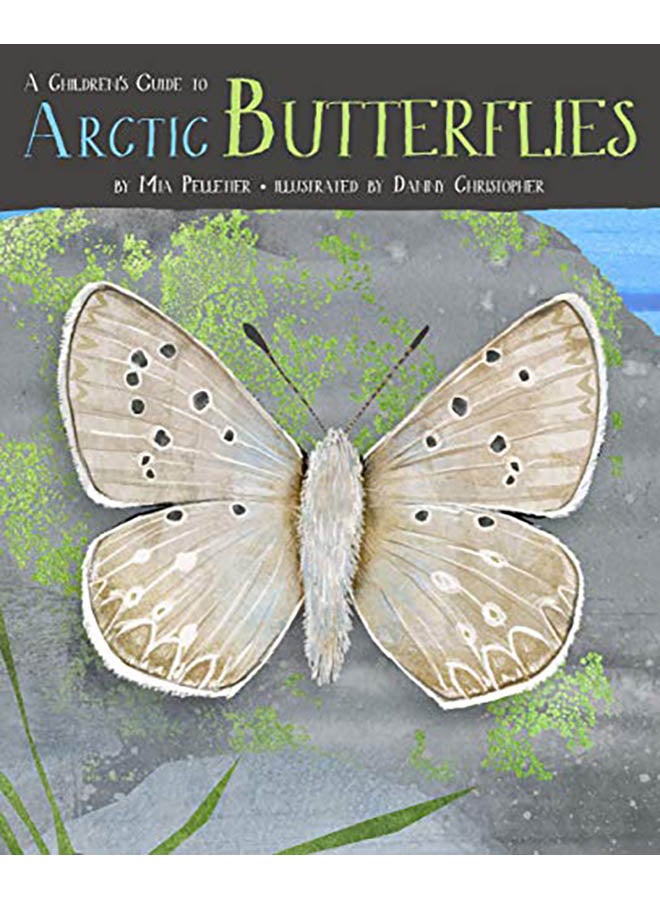 A Children's Guide to Arctic Butterflies Hardcover English by Mia Pelletier - 2019