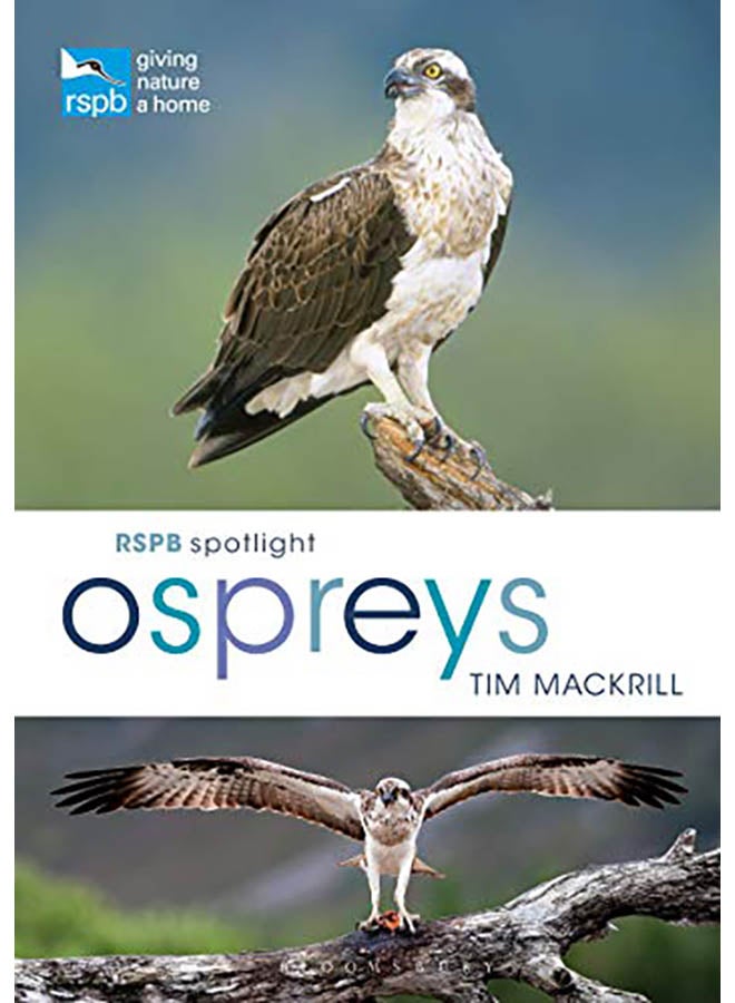 RSPB تسليط الضوء على النسور البحرية