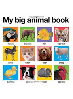 My Big Animal Book Hardcover English by Roger Priddy - 2011 