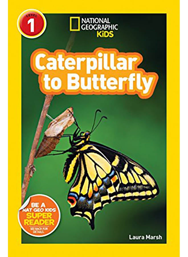 Caterpillar to Butterfly Paperback English by Laura Marsh - 2012 