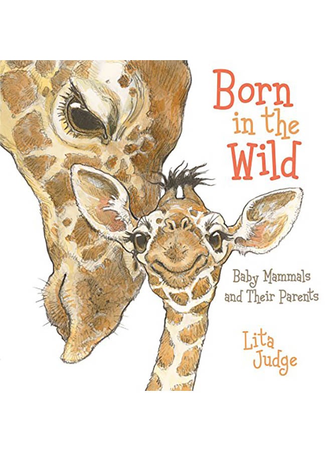 Born in the Wild: Baby Animals and Their Parents Hardcover English by Lita Judge - 2019 