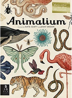 Animalium: Welcome to the Museum Hardcover English by Jenny Broom - 2014 