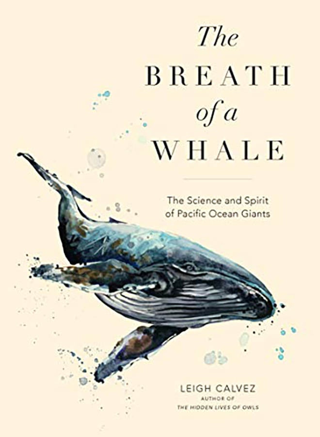 The Breath of a Whale: The Science and Spirit of Pacific Ocean Giants Paperback English by Leigh Calvez - 2019 