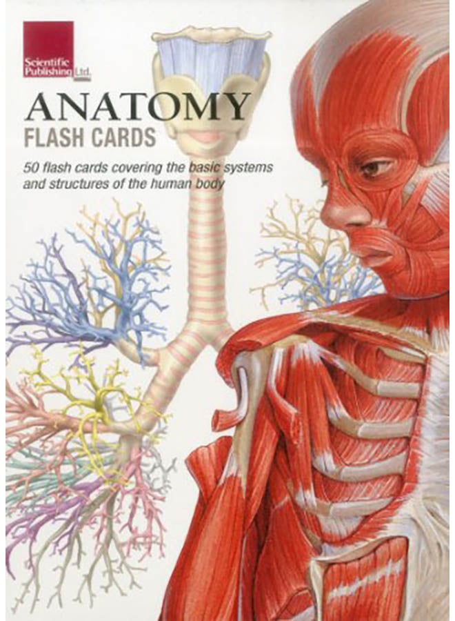 Anatomy Flash Cards Paperback English by Scientific Publishing - 2011 